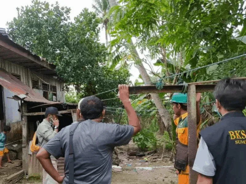 Video Buaya Berjemur Viral, Resor KSDA Agam: Itu di Wilayah Konservasi