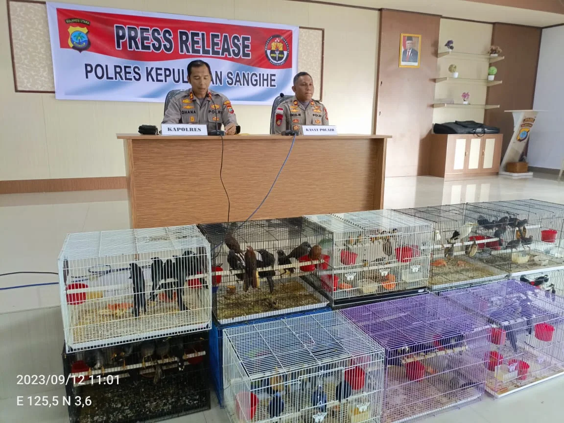 Yang Terjerat di Tangan Penyelundup Rantai Pasok Gelap Paruh Bengkok dari Sulut ke Filipina (Bagian 1)