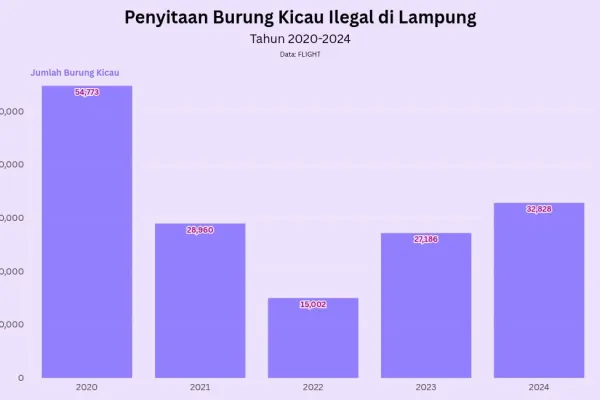 chart visualization