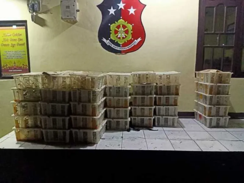 2 Pelaku Penyelundupan Ribuan Burung di Pelabuhan Bakauheni Diamankan