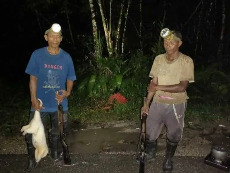 2 Pemburu Kuskus Putih di Taman Nasional Manusela Ditangkap