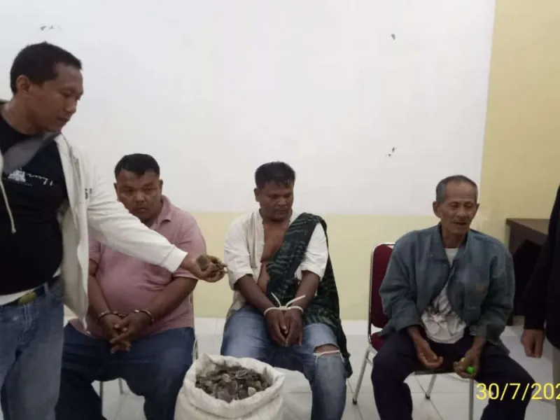 3 Orang Penyelundup Sisik Trenggiling Ditangkap Aparat Gabungan