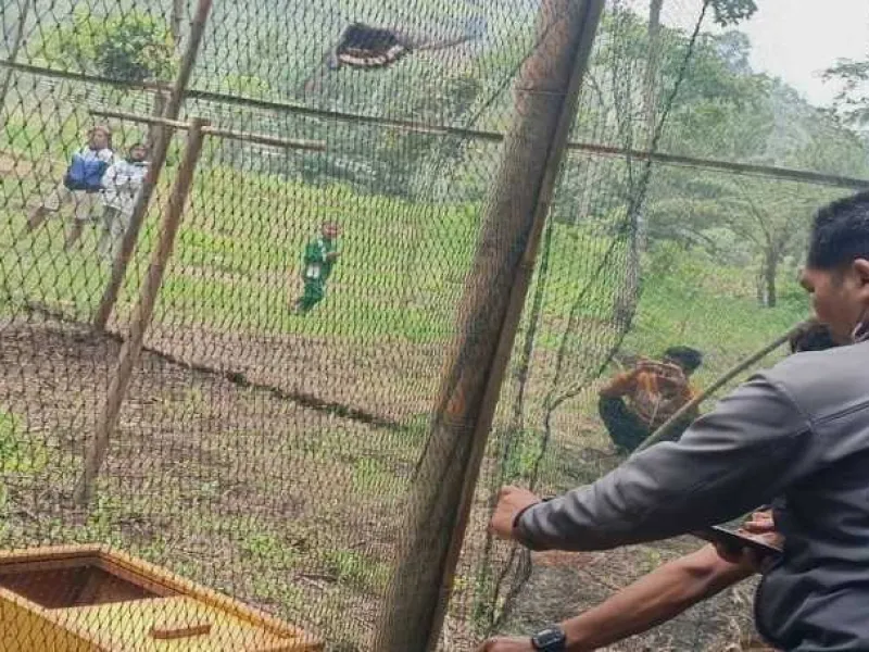 7 Hewan Langka Siap Jadi Penghuni TN Gunung Ciremai