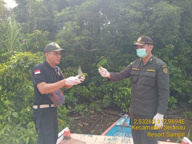Akan Dibawa ke Pulau Jawa, 34 Burung Diamankan di Sampit
