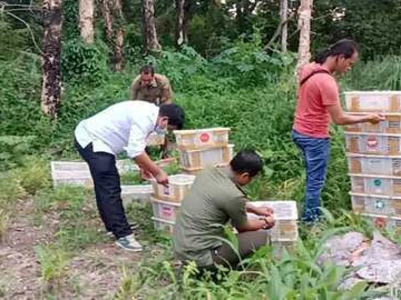 Angkut 840 Burung Tanpa Dokumen, Dua Pelaku Dibebaskan