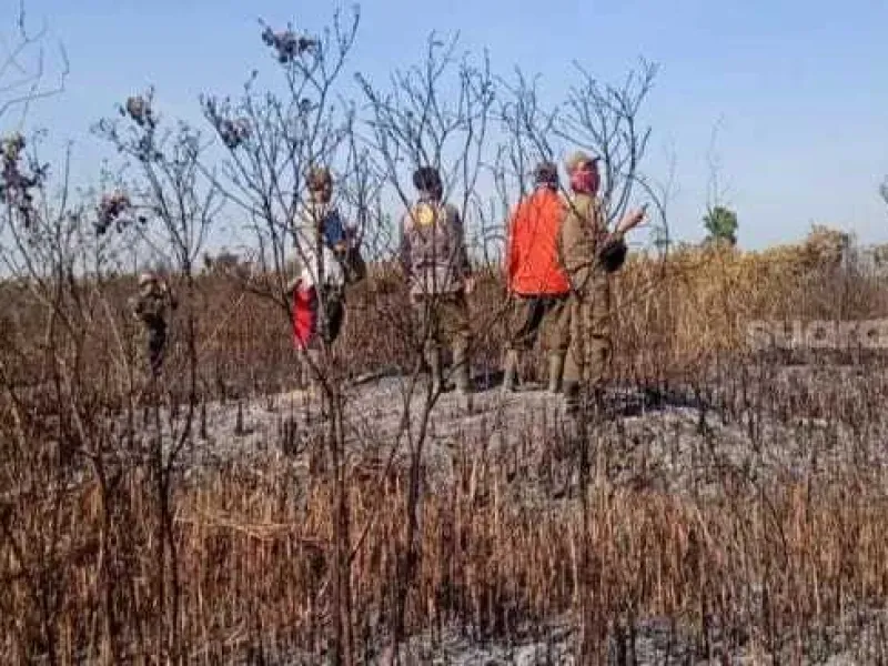 Banyak Satwa yang Mati Akibat Kebakaran di TNWK
