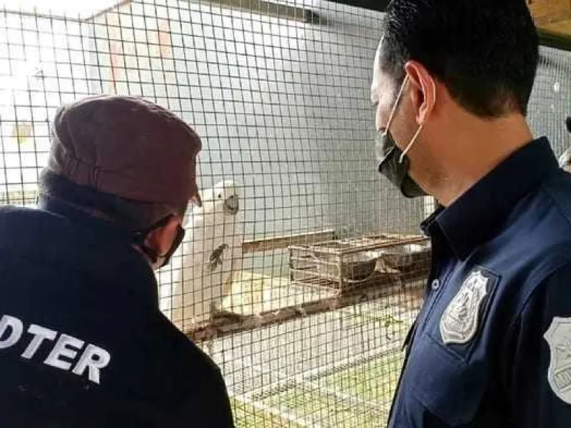 Bareskrim Menggerebek Penangkaran Burung Ilegal di Sukabumi