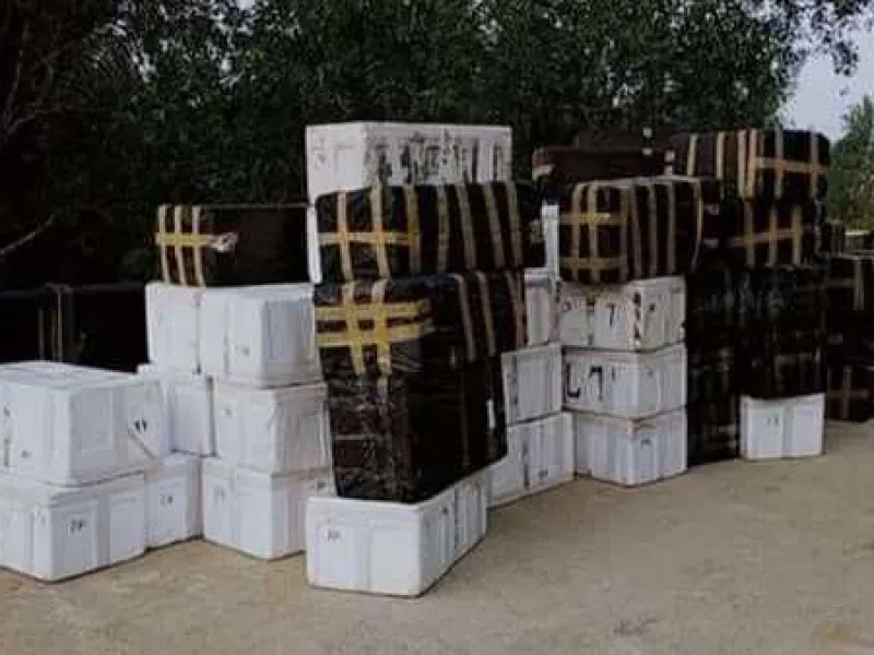 Benih Lobster Senilai Rp 40,5 Miliar Ditinggalkan Pemiliknya di Jembatan