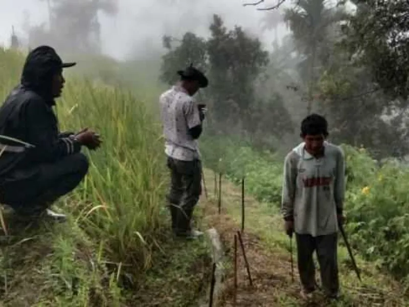 Beruang Madu Muncul 5 Kali, BKSDA Sumbar Lakukan Pengecekan