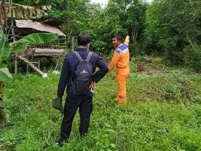 Beruang Madu Pincang Masuk Pemukiman di Riau, Diduga Dulu Pernah Terjerat
