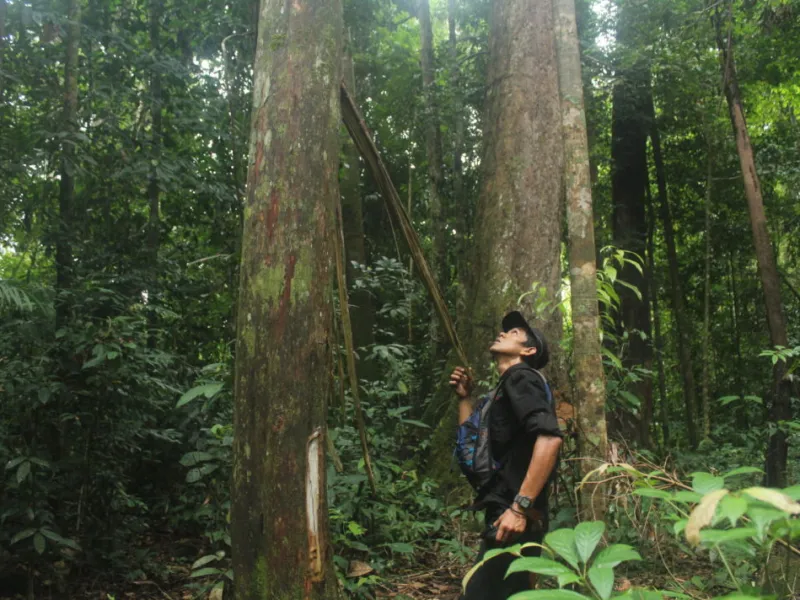 Bisnis Cuan Berbalut Kepahlawanan [1]