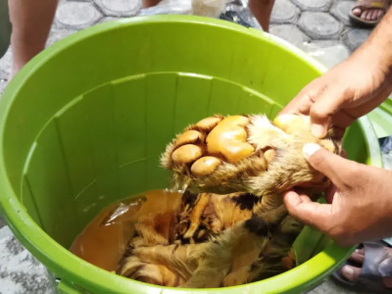 Bisnis Cuan Berbalut Kepahlawananan