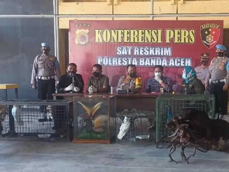 BKSDA Aceh Sita Satwa Dilindungi dari Rumah Tersangka Kasus Narkoba