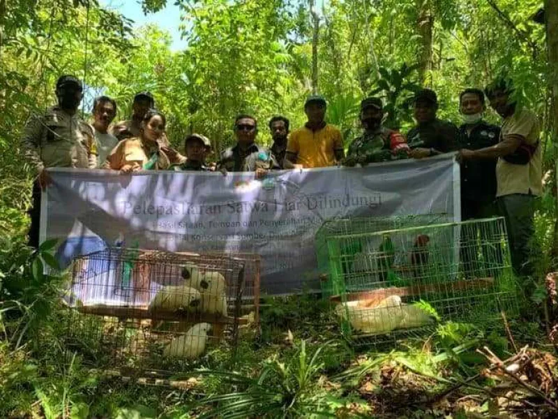 BKSDA Maluku Lepasliarkan Puluhan Satwa Hasil Sitaan dan Serahan Warga