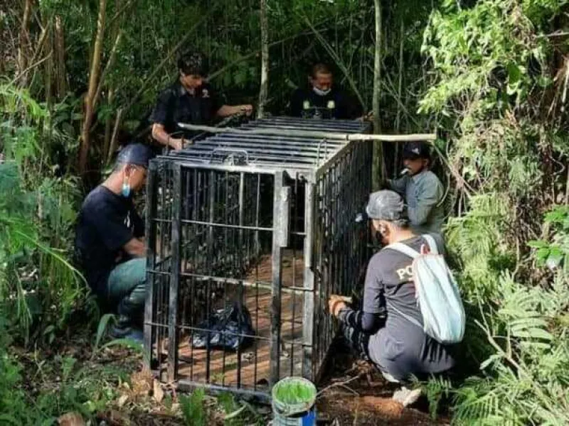 BKSDA Sumbar Resor Agam Catat 6 Konflik Satwa di Awal Tahun 2021