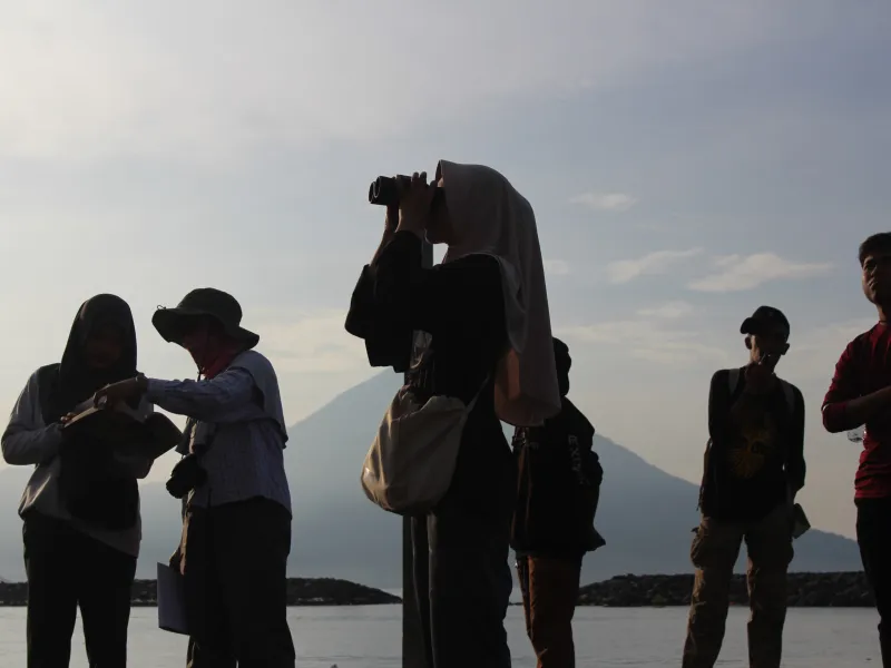 Burung-Burung Migran di Pantai Sasa dan Masa Depan Mereka