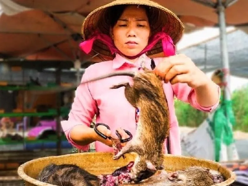 Cegah Resiko Pandemi Baru, Vietnam Larang Perdagangan Satwa Liar