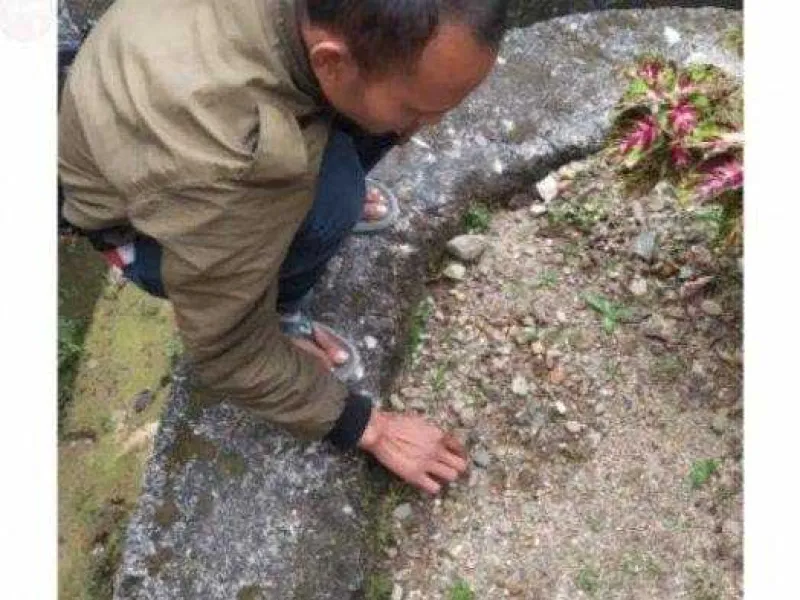 Diduga Memangsa Anjing, Harimau Sumatera Dihalau