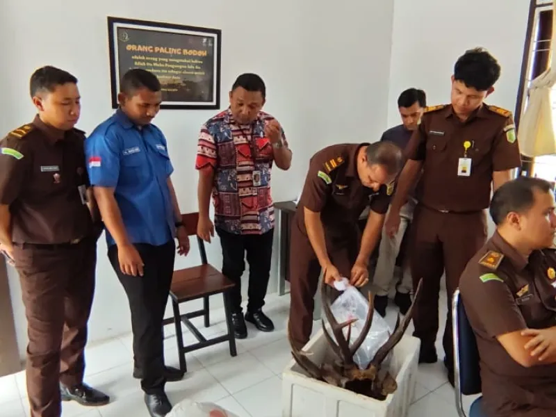 Dua Pelaku Perdagangan Organ Satwa Dilindungi Diserahkan ke JPU 