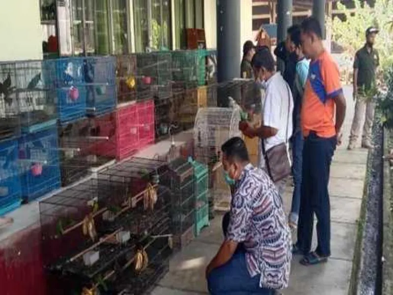 Gakkum KLHK Kalimantan Menggerebek Penampungan Burung