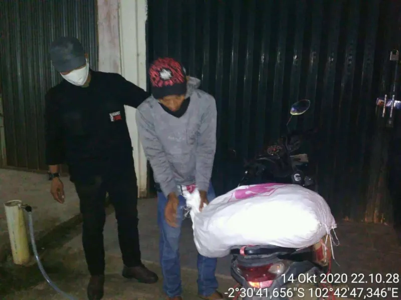 Gakkum KLHK Tangkap Pelaku Perdagangan 24,5 Kg Sisik Trenggiling di Jambi