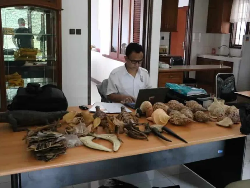 Gakkum LHK Ungkap Perdagangan Online Ratusan Tubuh Satwa Liar