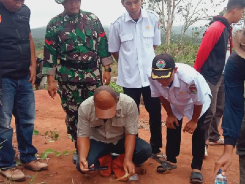 Jejak Harimau Ditemukan di Mukomuko, BKSDA Siagakan Box Trap