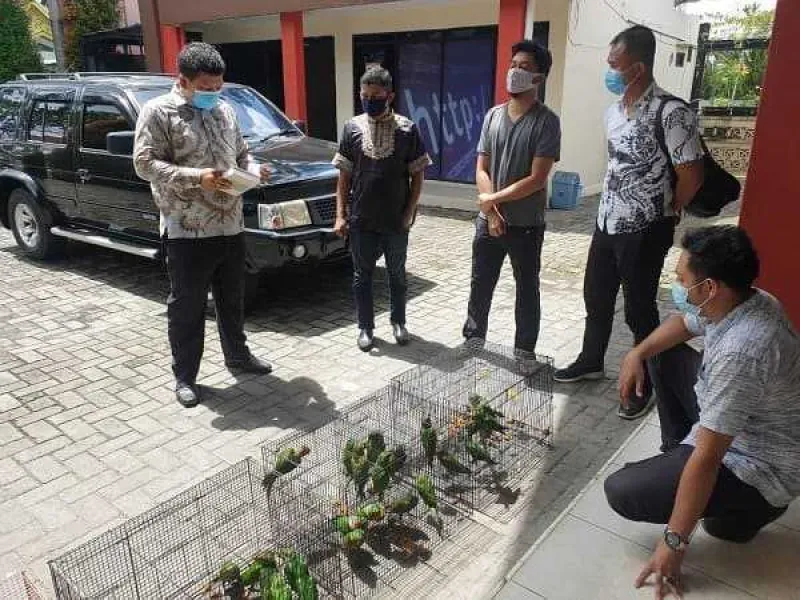 Jual Burung Betet, Seorang ASN di Riau Terancam Hukuman 5 Tahun Penjara