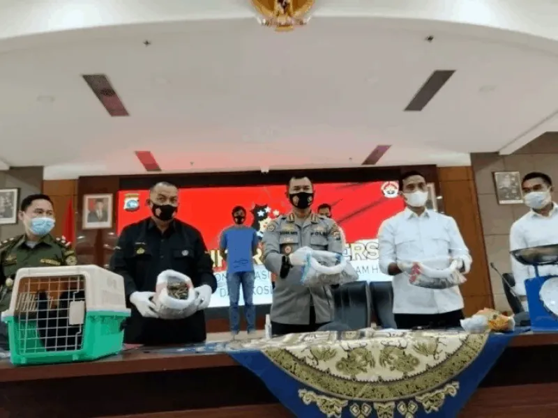 Kasus Jual Beli Satwa Dilindungi di Sumbar Terbongkar, 1 Tersangka Diamankan