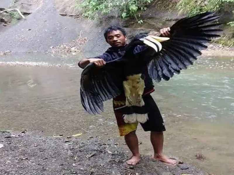 Kejam! Tak Hanya Menembak, Pria Ini Juga Menyantap Daging Satwa Dilindungi