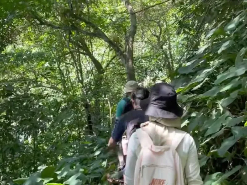 Kelana Sanggabuana, Memantau Burung Migrasi dari Utara Bumi