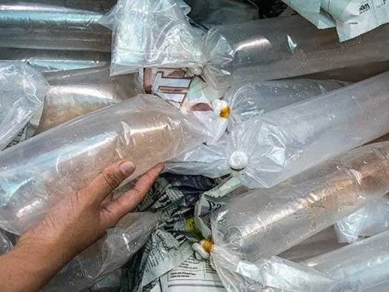 Ketahuan Selundupkan Puluhan Ribu Benur, 2 Pelaku Melarikan Diri