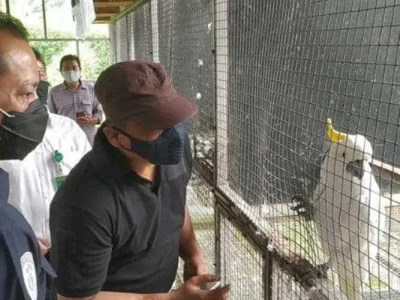 Featured image for Ketika Penangkaran Menjadi Sarang Perdagangan Ilegal