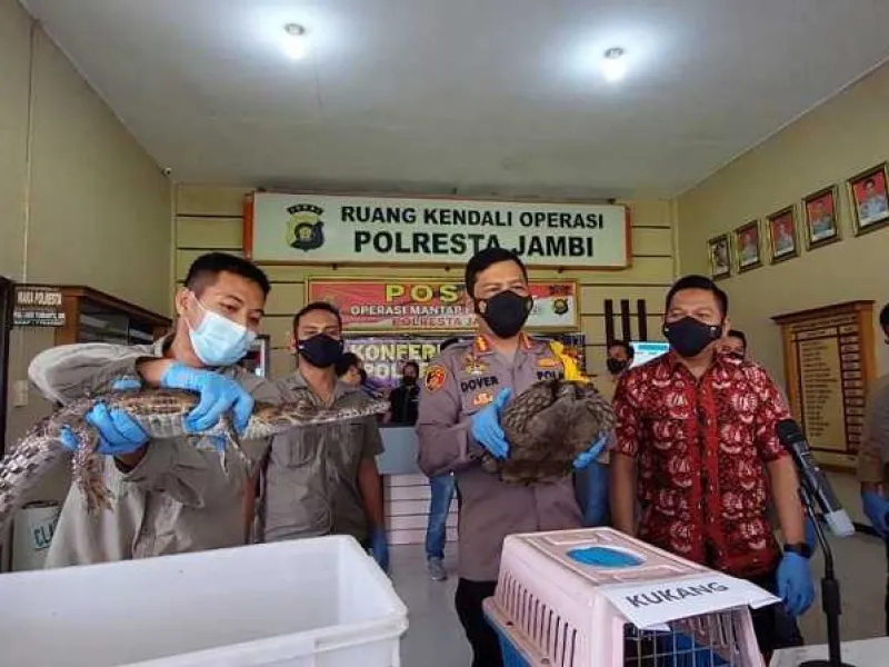 Koleksi Satwa Dilindungi, Warga Jambi Terancam 5 Tahun Penjara
