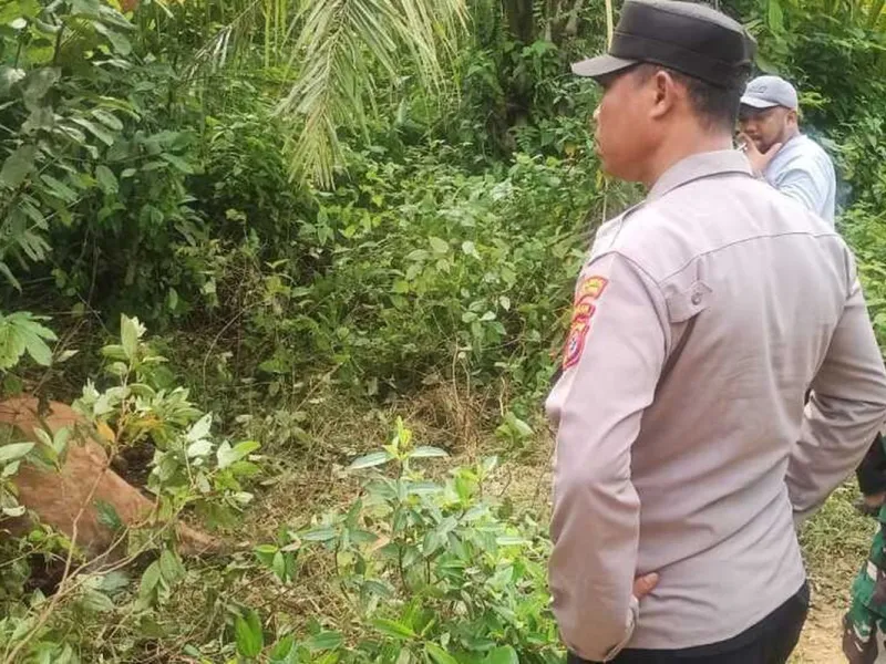 Konflik kembali Terjadi, Ternak Warga Ditemukan Mati di Area Sawah