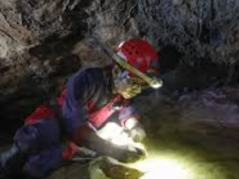 Meneliti Biota Gua, Memperkenalkan Kehidupan yang Tersembunyi kepada Dunia