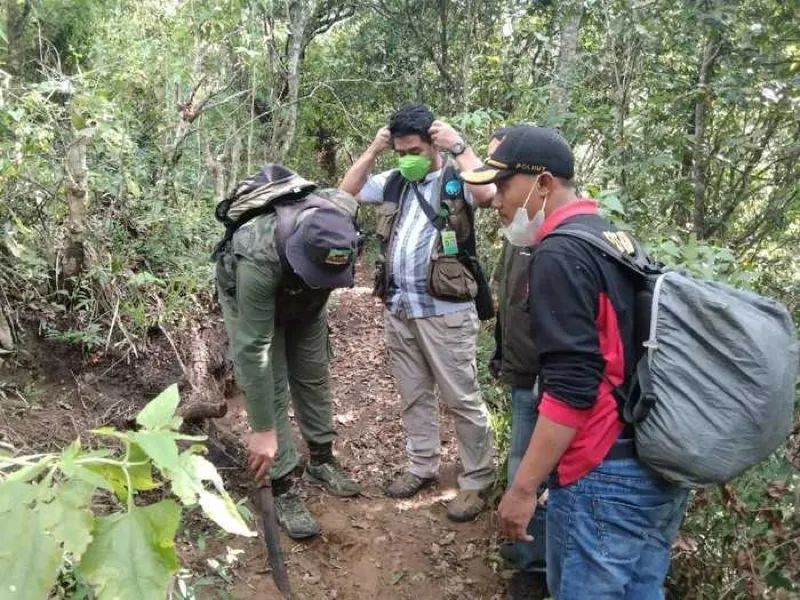 Miris! Jadi Korban Perburuan, Tubuh Lutung Jawa Ditemukan Terpotong-potong