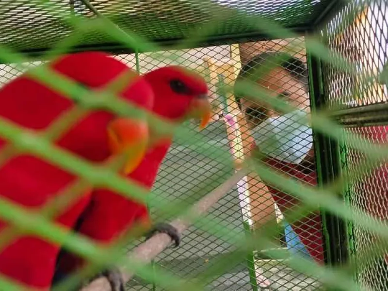 Pelihara Lutung dan Nuri, Seorang Warga Cilegon Diamankan Petugas