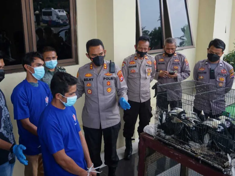 Pengedar Satwa Langka Asal Banten Diciduk Kepolisian