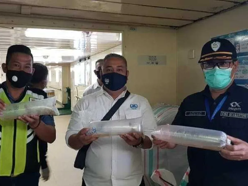 Penyelundupan 40 Ribu Benih Lobster Ketahuan, 3 Tersangka Diamankan
