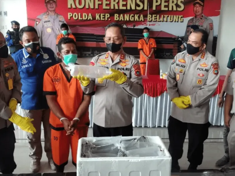 Penyelundupan Benur Senilai Rp 10,14 Miliar Digagalkan, 3 Pelaku Diamankan