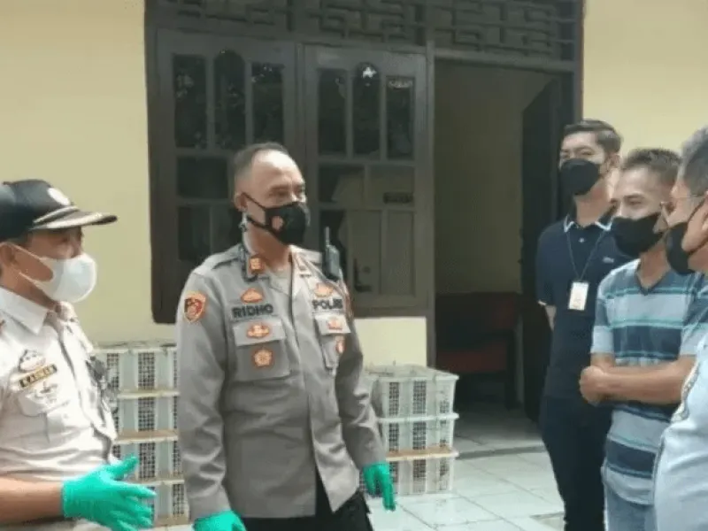 Penyelundupan Ribuan Burung Masih Marak di Pelabuhan Bakauheni
