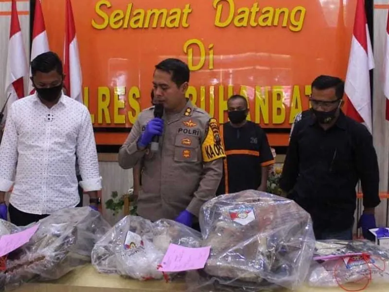 Perdagangan Kulit Harimau di Sumut Digagalkan Polisi, 1 Orang Jadi DPO