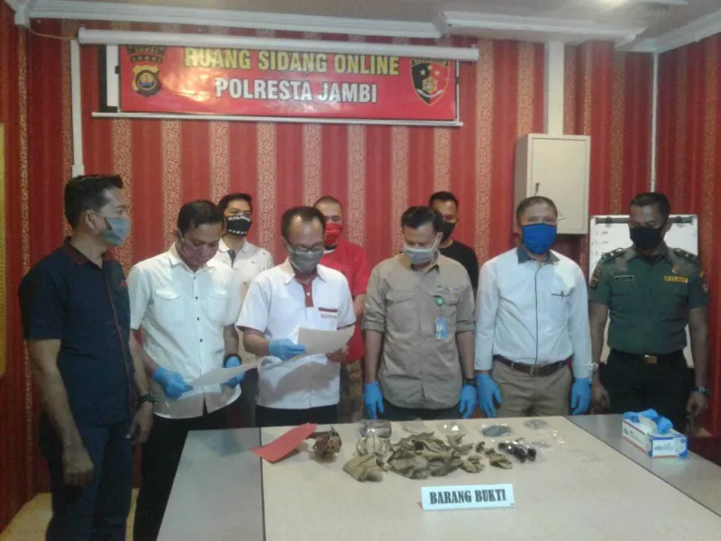 Perdagangan Online Kulit Harimau hingga Kuku Beruang Diungkap Polresta Jambi