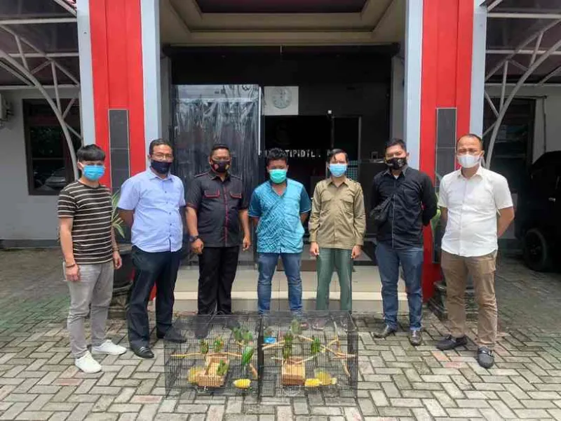 Perdagangkan Burung Dilindungi, Warga Kalsel Ditangkap Polisi