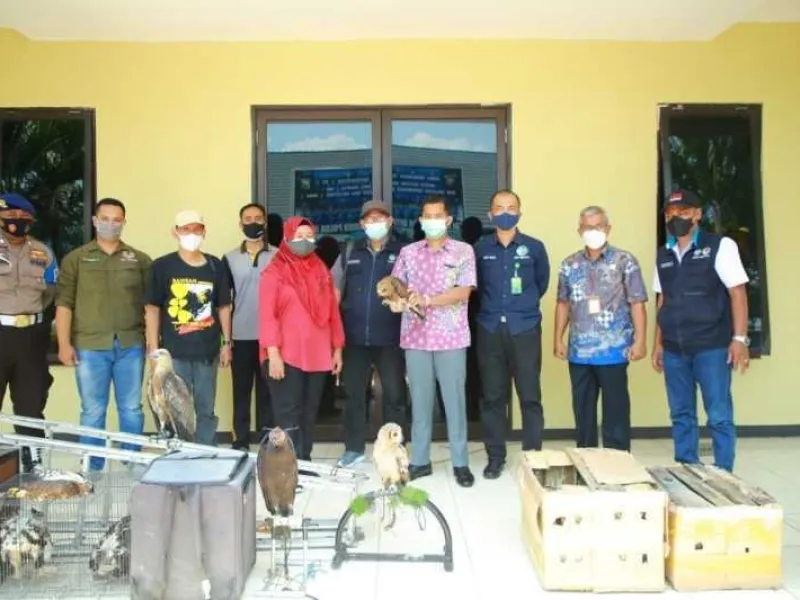 Polda Jatim Amankan 2 Pelaku Penyelundupan Satwa Dilindungi