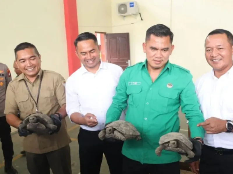 Polda Kepri Gagalkan Penyelundupan Baning Coklat ke Luar Negeri