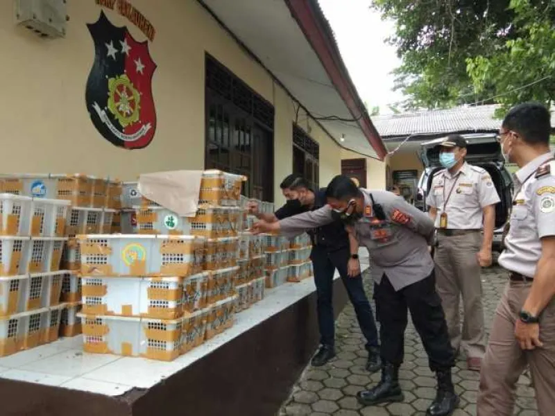 Polisi Gagalkan Penyelundupan 2.057 Ekor Burung di Bakauheni