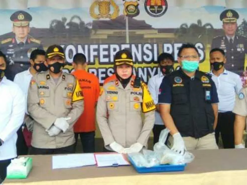 Polisi Kembali Gagalkan Penyelundupan Benih Lobster ke Luar Negeri
