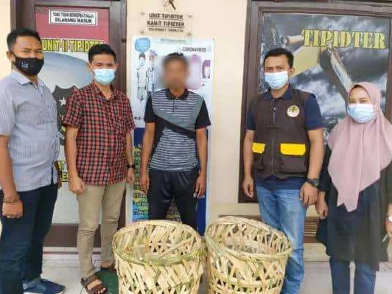 Polres Langkat Sita 42 Belangkas, Hanya 34 yang Bisa Dilepasliarkan